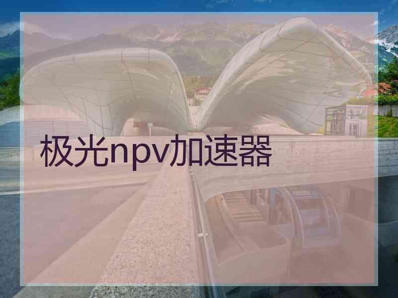 极光npv加速器