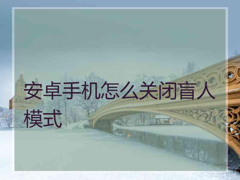 安卓手机怎么关闭盲人模式