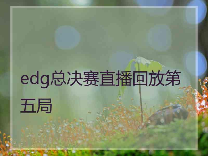 edg总决赛直播回放第五局