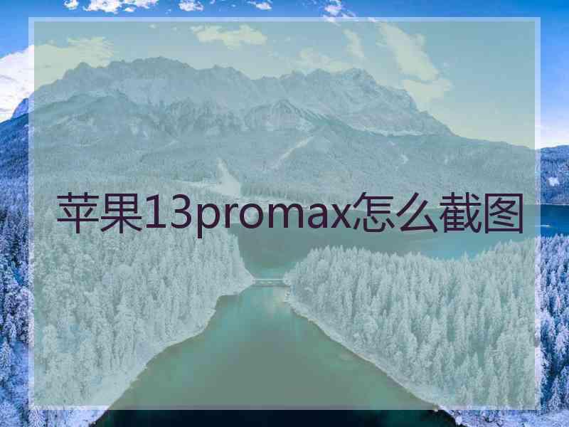 苹果13promax怎么截图