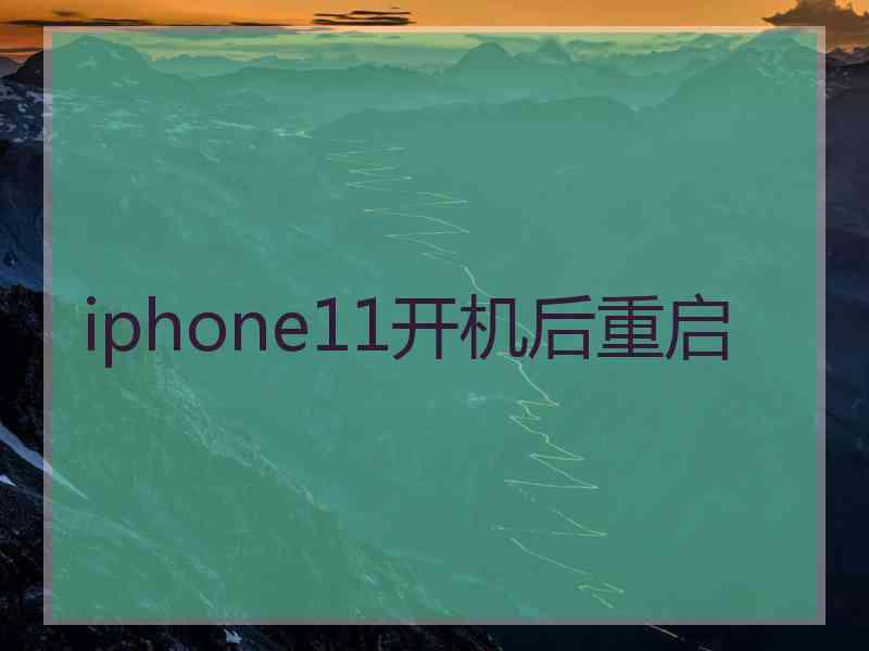 iphone11开机后重启