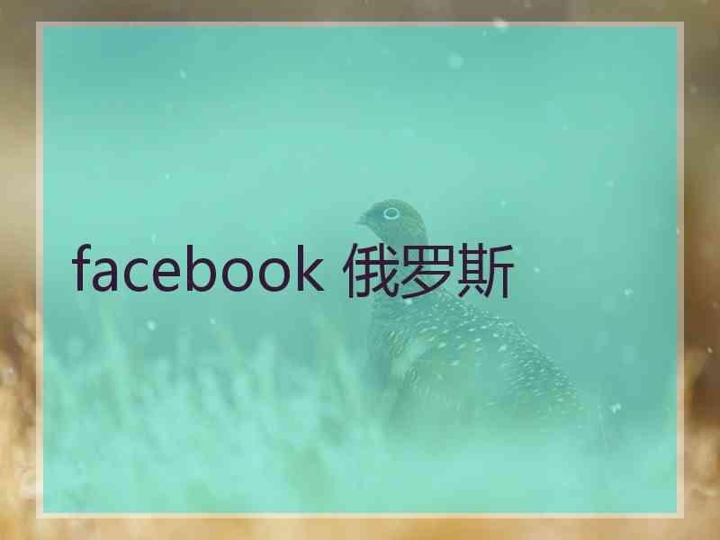 facebook 俄罗斯