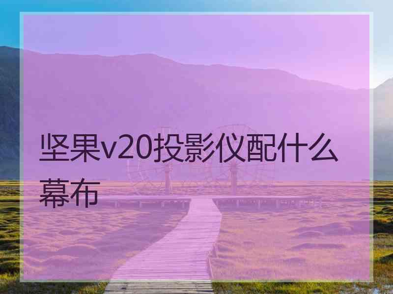 坚果v20投影仪配什么幕布