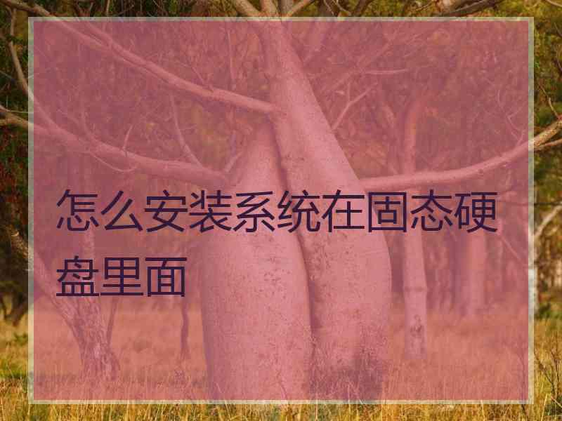 怎么安装系统在固态硬盘里面