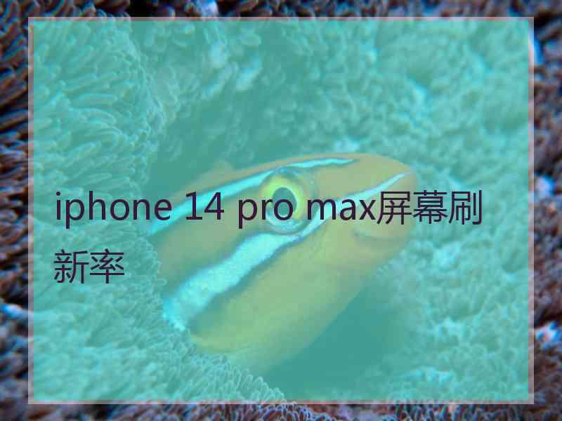 iphone 14 pro max屏幕刷新率