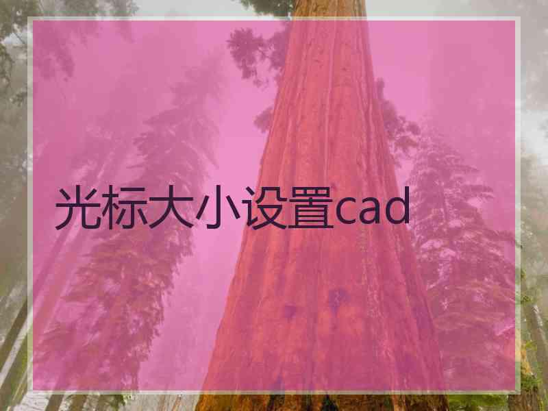 光标大小设置cad