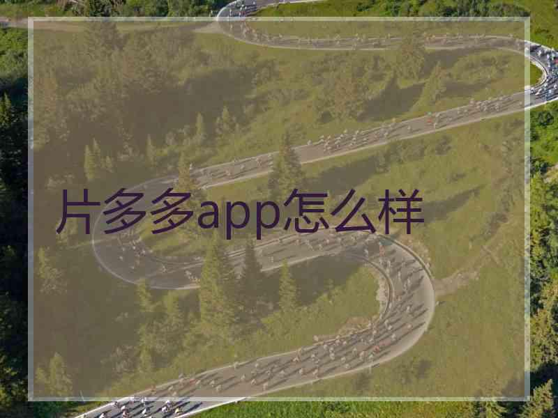 片多多app怎么样