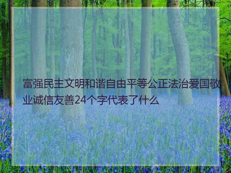 富强民主文明和谐自由平等公正法治爱国敬业诚信友善24个字代表了什么