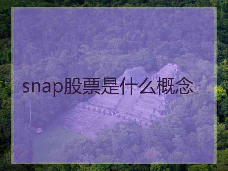 snap股票是什么概念