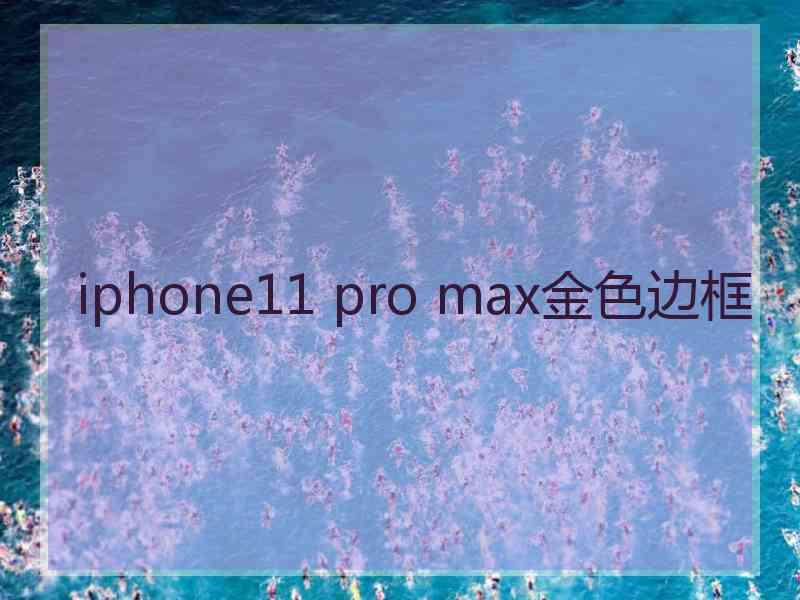 iphone11 pro max金色边框